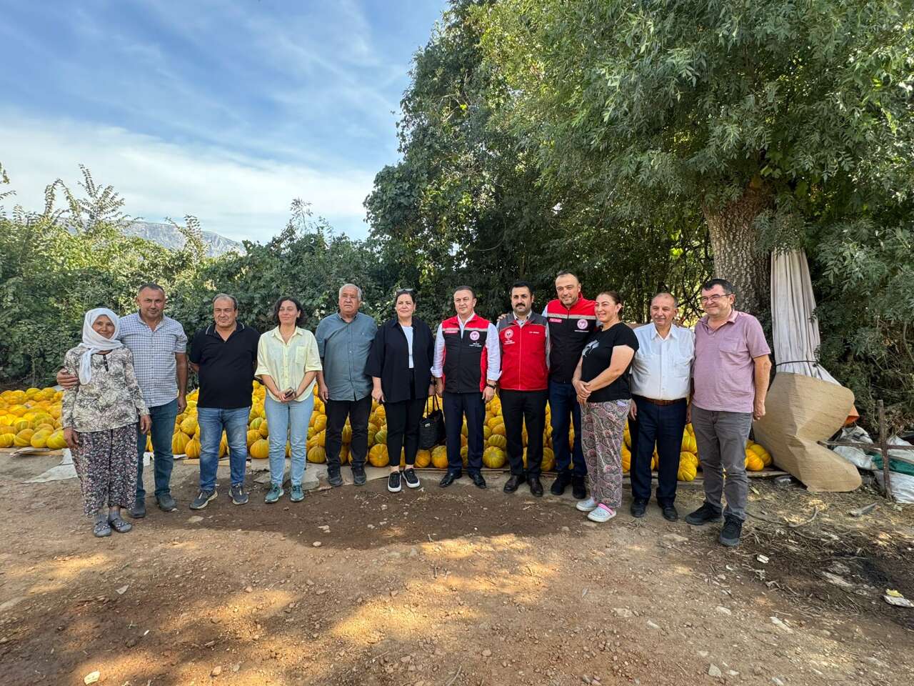 Muğla'nın Yayla Kavunu Hasatla Taçlandı 1